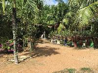 Land For Sale2,600,000 baht near Huai Yai Temple